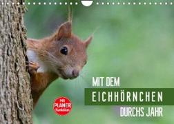 Mit dem Eichhörnchen durchs Jahr (Wandkalender 2022 DIN A4 quer)