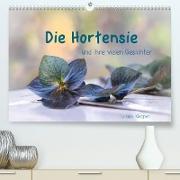 Die Hortensie und ihre vielen Gesichter (Premium, hochwertiger DIN A2 Wandkalender 2022, Kunstdruck in Hochglanz)
