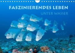 Faszinierendes Leben unter Wasser (Wandkalender 2022 DIN A4 quer)