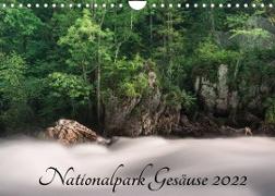 Nationalpark Gesäuse (Wandkalender 2022 DIN A4 quer)
