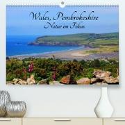 Wales Pembrokeshire - Natur im Fokus- (Premium, hochwertiger DIN A2 Wandkalender 2022, Kunstdruck in Hochglanz)