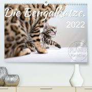 Die Bengalkatze. Edition Jungtiere (Premium, hochwertiger DIN A2 Wandkalender 2022, Kunstdruck in Hochglanz)
