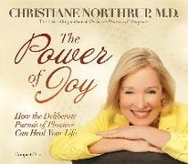 The Power of Joy: How the Deliberate Pursuit of Pleasure Can Heal Your Life