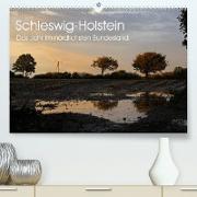 Schleswig-Holstein (Premium, hochwertiger DIN A2 Wandkalender 2022, Kunstdruck in Hochglanz)