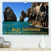 Baja California - Impressionen der mexikanischen Halbinsel (Premium, hochwertiger DIN A2 Wandkalender 2022, Kunstdruck in Hochglanz)