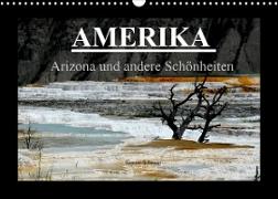 Amerika - Arizona und andere Schönheiten (Wandkalender 2022 DIN A3 quer)