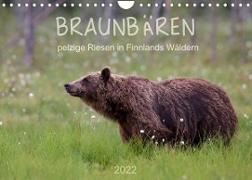 Braunbären - pelzige Riesen in Finnlands Wäldern (Wandkalender 2022 DIN A4 quer)