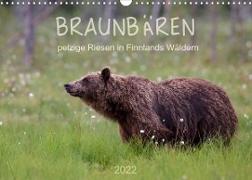 Braunbären - pelzige Riesen in Finnlands Wäldern (Wandkalender 2022 DIN A3 quer)
