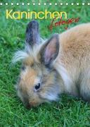 Kaninchen fotogen (Tischkalender 2022 DIN A5 hoch)