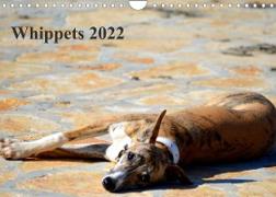 Whippet 2022AT-Version (Wandkalender 2022 DIN A4 quer)