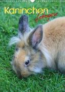 Kaninchen fotogen (Wandkalender 2022 DIN A3 hoch)