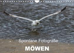 Spontane Fotografie - Möwen (Wandkalender 2022 DIN A4 quer)