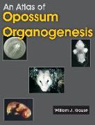 An Atlas of Opossum Organogenesis