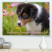Australian Shepherd 2022 (Premium, hochwertiger DIN A2 Wandkalender 2022, Kunstdruck in Hochglanz)