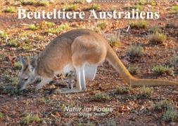 Beuteltiere Australiens (Wandkalender 2022 DIN A2 quer)
