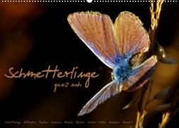 Schmetterlinge ganz nah (Wandkalender 2022 DIN A2 quer)