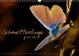 Schmetterlinge ganz nah (Wandkalender 2022 DIN A3 quer)