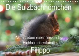 Die Sulzbachhörnchen - vom Leben einer hessischen Eichhörnchenfamilie (Wandkalender 2022 DIN A4 quer)