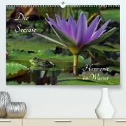 Die Seerose - Harmonie im Wasser (Premium, hochwertiger DIN A2 Wandkalender 2022, Kunstdruck in Hochglanz)