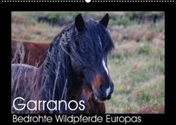 Garranos - Bedrohte Wildpferde Europas (Wandkalender 2022 DIN A2 quer)