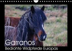Garranos - Bedrohte Wildpferde Europas (Wandkalender 2022 DIN A4 quer)