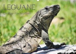 Leguane - Einzigartige Reptilien (Wandkalender 2022 DIN A2 quer)