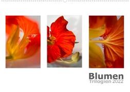 Blumen Trilogien (Wandkalender 2022 DIN A2 quer)