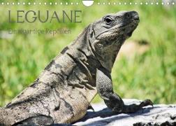 Leguane - Einzigartige Reptilien (Wandkalender 2022 DIN A4 quer)