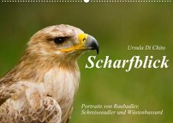 Scharfblick (Wandkalender 2022 DIN A2 quer)
