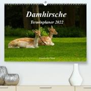 Damhirsche (Premium, hochwertiger DIN A2 Wandkalender 2022, Kunstdruck in Hochglanz)