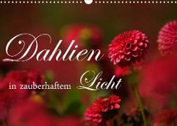 Dahlien in zauberhaftem Licht (Wandkalender 2022 DIN A3 quer)