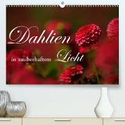 Dahlien in zauberhaftem Licht (Premium, hochwertiger DIN A2 Wandkalender 2022, Kunstdruck in Hochglanz)