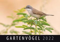 Gartenvögel 2022