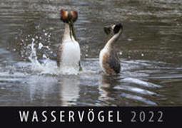 Wasservögel 2022