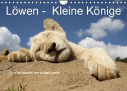 Löwen - Kleine Könige (Wandkalender 2022 DIN A4 quer)
