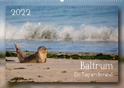 Baltrum - Ein Tag am Strand (Wandkalender 2022 DIN A2 quer)