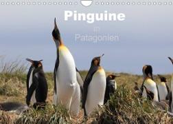 Pinguine in Patagonien (Wandkalender 2022 DIN A4 quer)