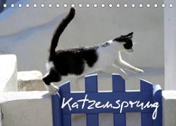 Katzensprung (Tischkalender 2022 DIN A5 quer)