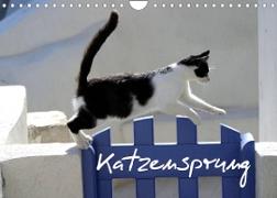 Katzensprung (Wandkalender 2022 DIN A4 quer)