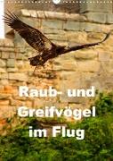 Raub- und Greifvögel im Flug (Wandkalender 2022 DIN A3 hoch)