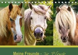Meine Freunde - die Pferde (Tischkalender 2022 DIN A5 quer)