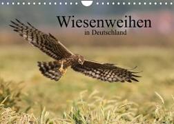 Wiesenweihen in Deutschland (Wandkalender 2022 DIN A4 quer)