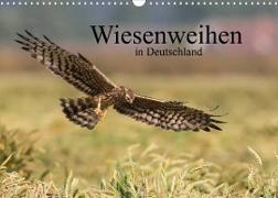 Wiesenweihen in Deutschland (Wandkalender 2022 DIN A3 quer)