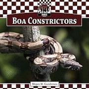 Boa Constrictors