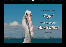 Vögel von "Down Under" Australien (Wandkalender 2022 DIN A2 quer)
