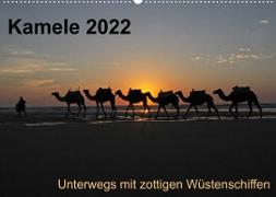 Kamele 2022 - Unterwegs mit zottigen WüstenschiffenCH-Version (Wandkalender 2022 DIN A2 quer)