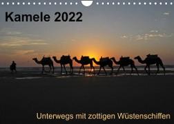 Kamele 2022 - Unterwegs mit zottigen WüstenschiffenCH-Version (Wandkalender 2022 DIN A4 quer)