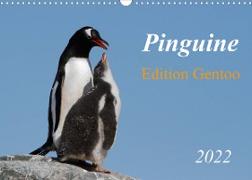 Pinguine - Edition Gentoo (Wandkalender 2022 DIN A3 quer)