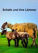 Schafe und ihre Lämmer / Planer (Tischkalender 2022 DIN A5 hoch)