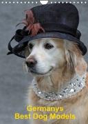 Germanys Best Dog Models - gestylte Labrador und Golden Retriever (Wandkalender 2022 DIN A4 hoch)